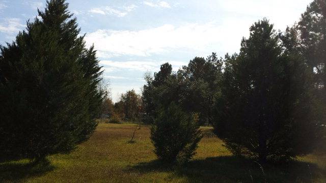 Sumter, SC 29150,4895 Ribbon Rd