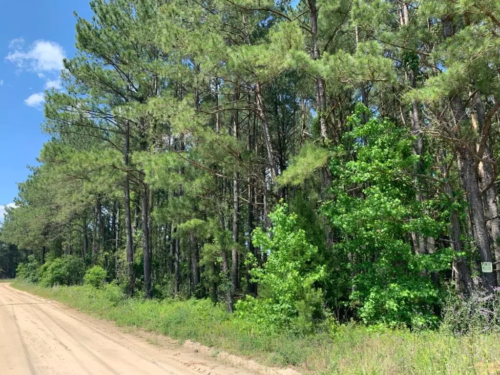 Manning, SC 29102,5.6 ac Gist Rd