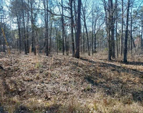 Manning, SC 29102,TBD Rockfish Drive