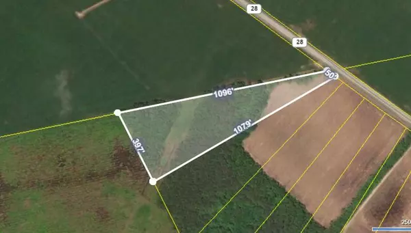 lot 14 Bowman Tract, Bishopville, SC 29010