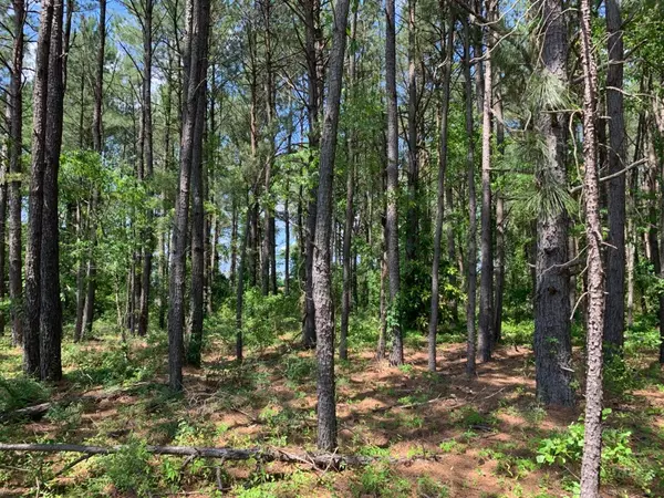 Manning, SC 29102,5.6 ac Gist Rd