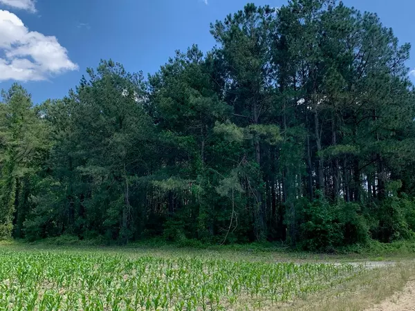 Manning, SC 29102,5.6 ac Gist Rd