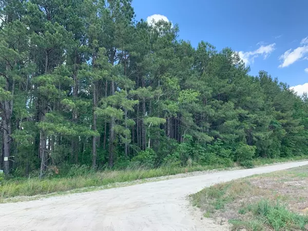 Manning, SC 29102,5.6 ac Gist Rd