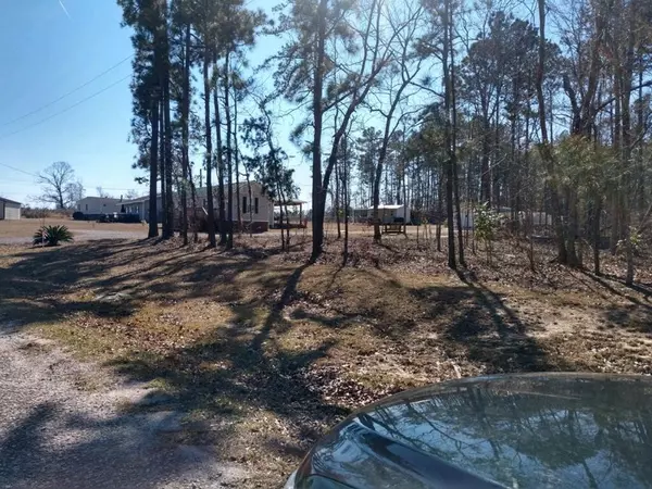 Manning, SC 29102,TBD Rockfish Drive