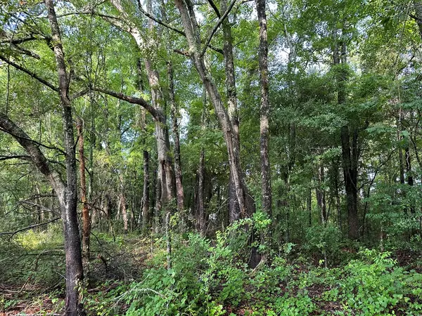 Holly Hill, SC 29059,TBD Lot B Catamount Rd