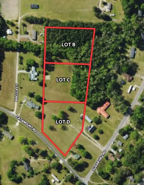 Holly Hill, SC 29059,TBD Lot B Catamount Rd