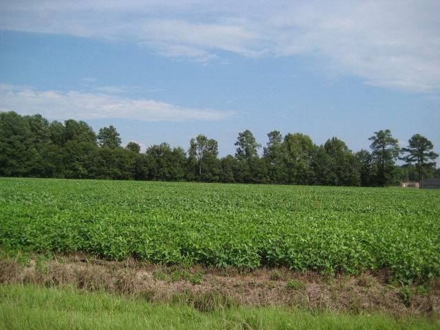 0 Electric Dr, Sumter, SC 29150