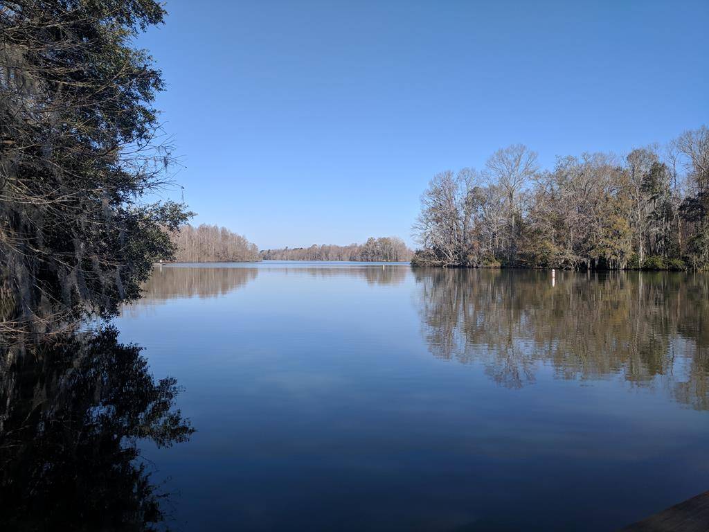 242 Connor Drive, Eutawville, SC 29048