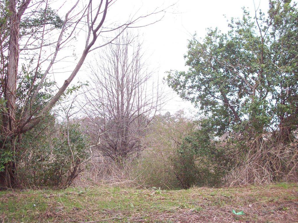 3845 DELAWARE, Dalzell, SC 29040