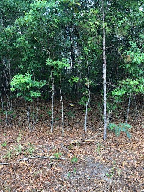 TBD Kenwood Road, Manning, SC 29102