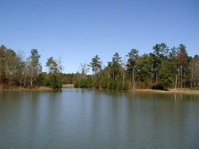 Elloree, SC 29047,TBD #29 Poplar Creek Dr