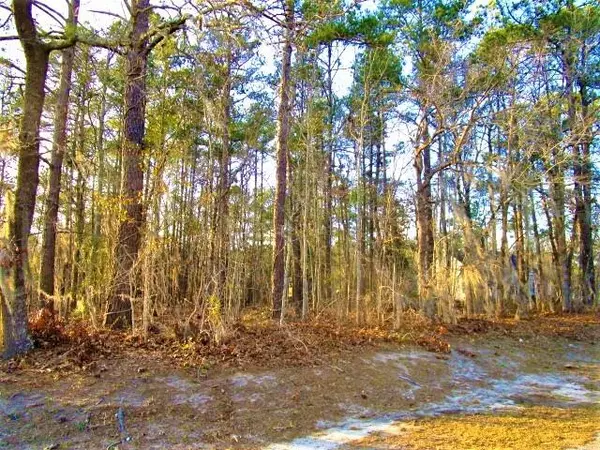 Lot 1 Cleveland St & Marion Dr, Santee, SC 29142