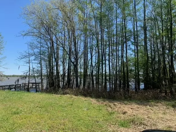 Elloree, SC 29047,1 Pintail Ln