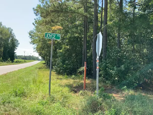 Summerton, SC 29148,Tract #2 M.W. Rickenbaker Rd