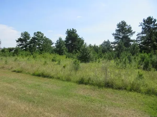 Lot 13 Brushwood Dr., Sumter, SC 29154