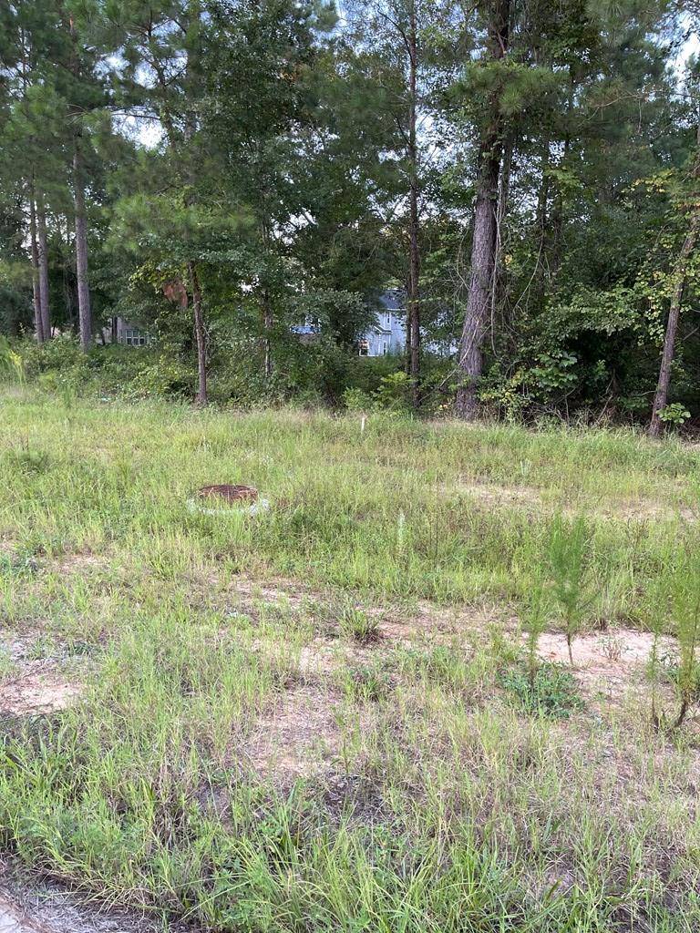 Sumter, SC 29150,2320 Topsoil Dr