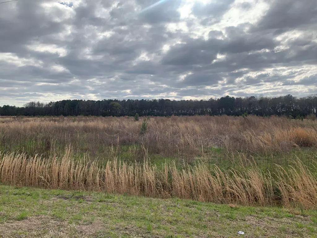 Bishopville, SC 29010,Lot 11 Bull Run Rd