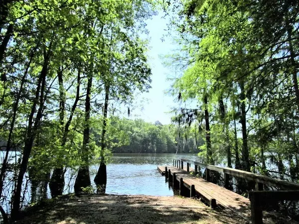 Elloree, SC 29047,Lot 6 Poplar Creek Dr