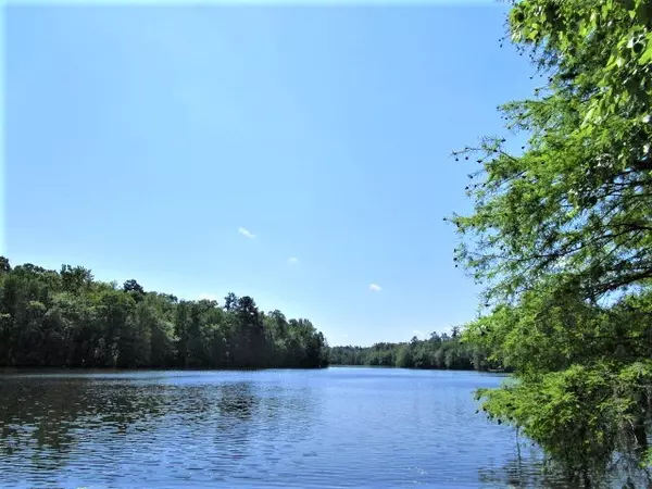 Elloree, SC 29047,Lot 6 Poplar Creek Dr