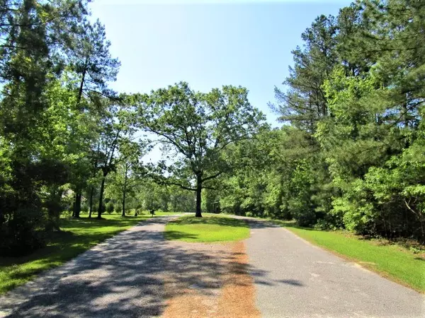 Elloree, SC 29047,Lot 6 Poplar Creek Dr