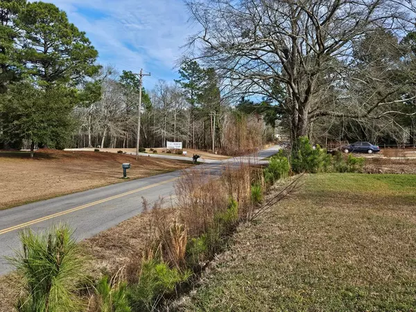 Manning, SC 29102,1343 Morello Road