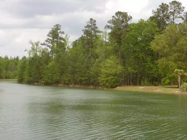 Elloree, SC 29047,26 Poplar Creek Drive