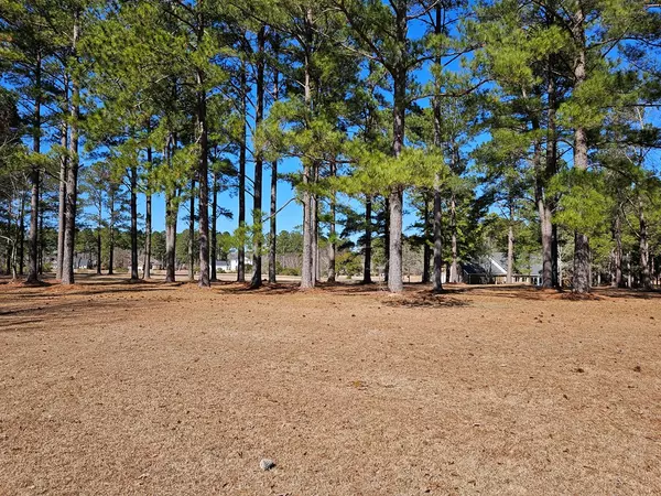 Manning, SC 29102,425 Pinelake Court