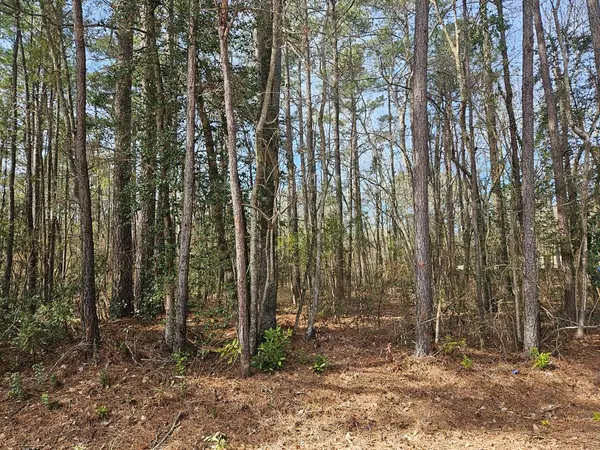 lot 1210 Beaver Drive, Manning, SC 29102