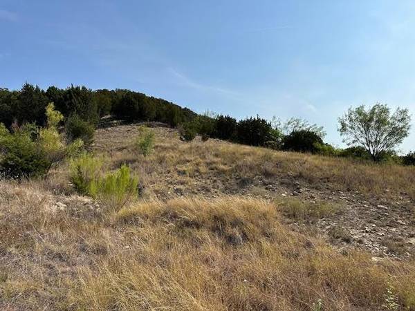 Graford, TX 76449,Lot 143 Canyon Wren S