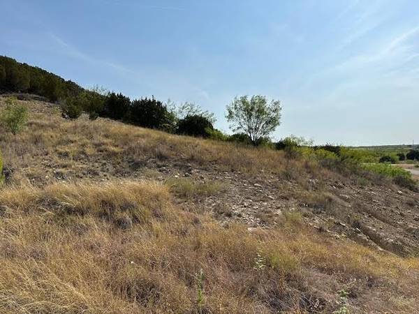 Graford, TX 76449,Lot 143 Canyon Wren S