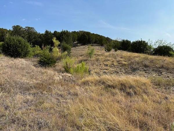 Graford, TX 76449,Lot 143 Canyon Wren S