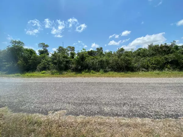 136 E St Charles Loop W, Rockport(holiday Beach), TX 78382