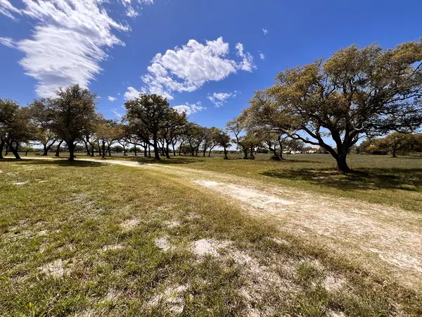 Rockport, TX 78382,375-E Weeping Willow