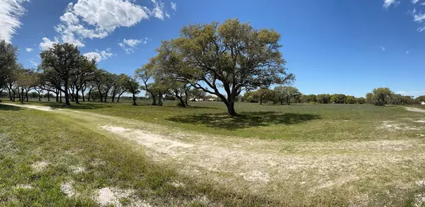 Rockport, TX 78382,375-E Weeping Willow