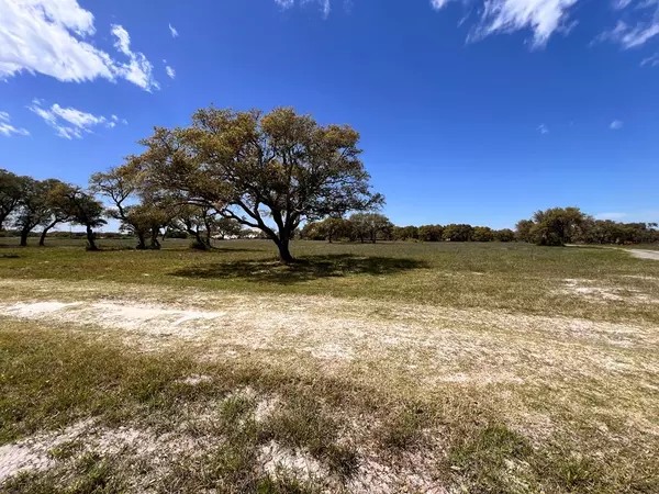 Rockport, TX 78382,375-E Weeping Willow