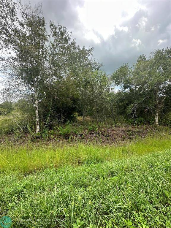 Okeechobee, FL 34972,17376 NW 256TH