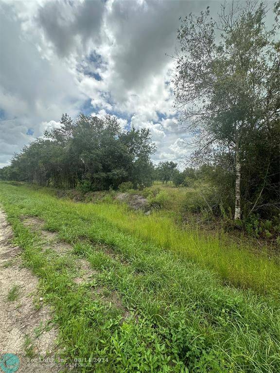 Okeechobee, FL 34972,17376 NW 256TH