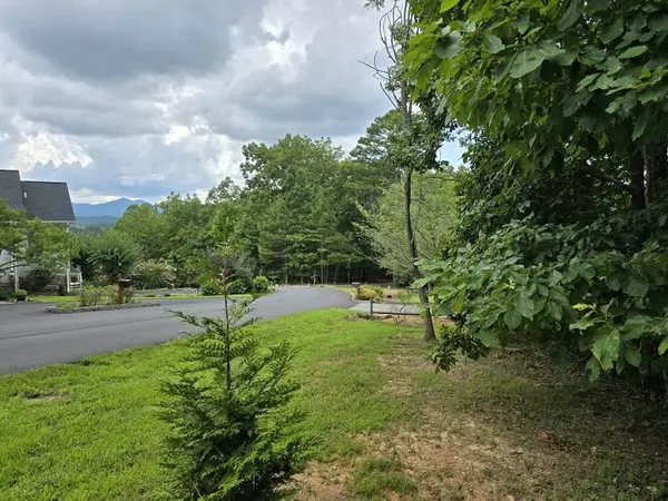 Blairsville, GA 30512,Lot149 The Mountain