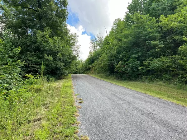 Hayesville, NC 28904,Lot 73M Ridges Overlook