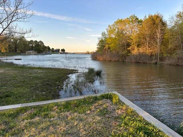 Pittsburg, TX 75686,lot 1 CR 2320