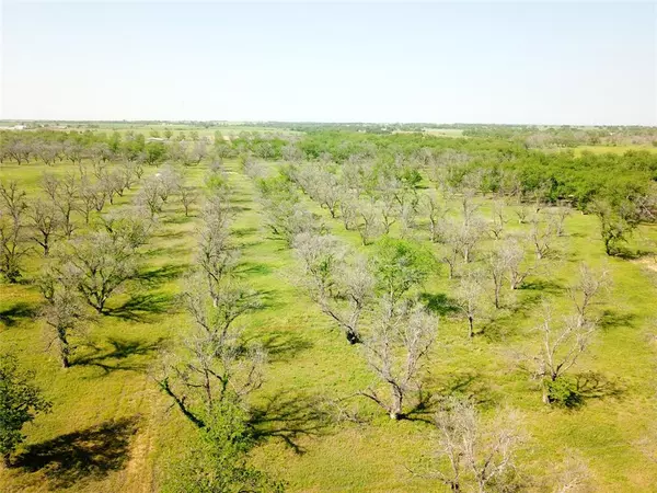 Gorman, TX 76454,TBD Tract C HWY 8