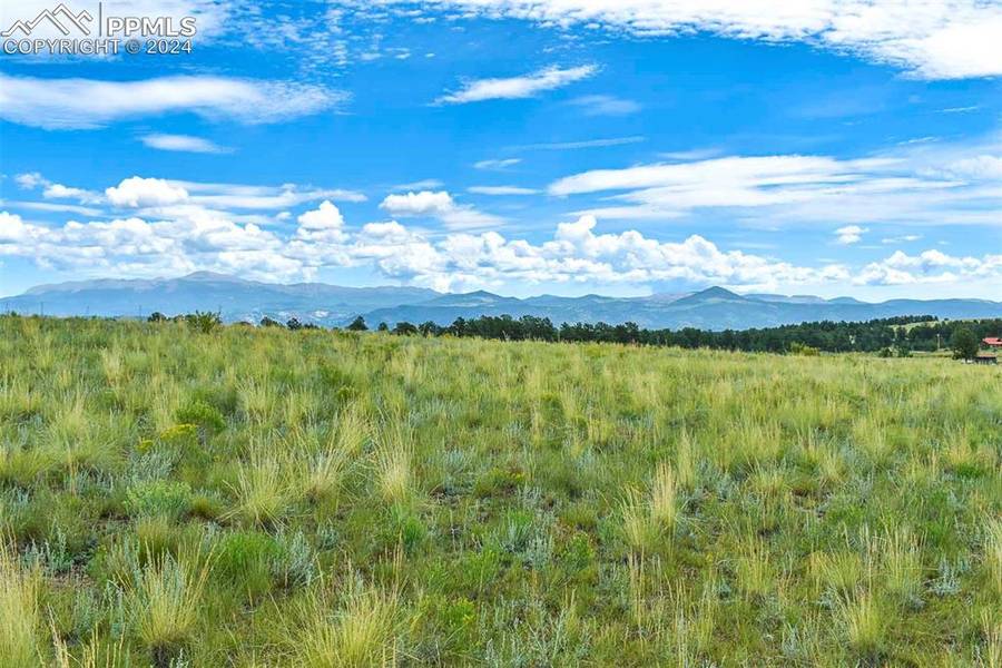 4782 County Road 71, Guffey, CO 80820