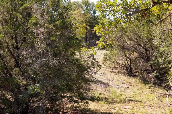 Mineral Wells, TX 76067,Lot 101 Brazos Valley Road