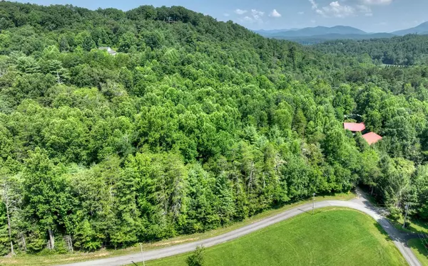 Blairsville, GA 30521,3 AC Spiva Cove