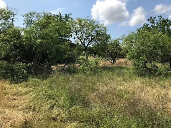 1421 Lakeside Trail, Whitney, TX 76692