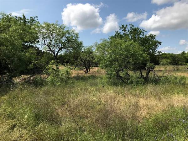 Whitney, TX 76692,1421 Lakeside Trail