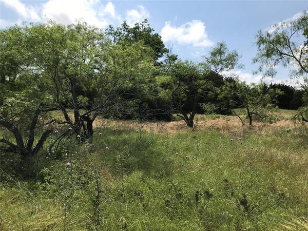 Whitney, TX 76692,1421 Lakeside Trail