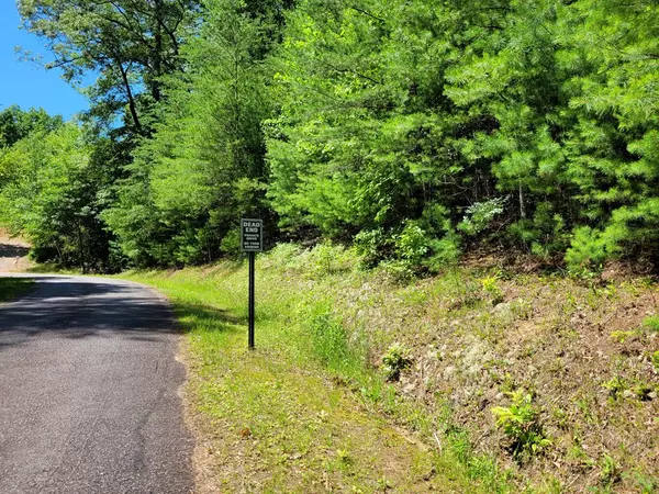 Hayesville, NC 28904,Lot 13 Slate Stone Drive