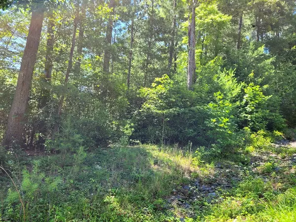 Hayesville, NC 28904,Lot 13 Slate Stone Drive