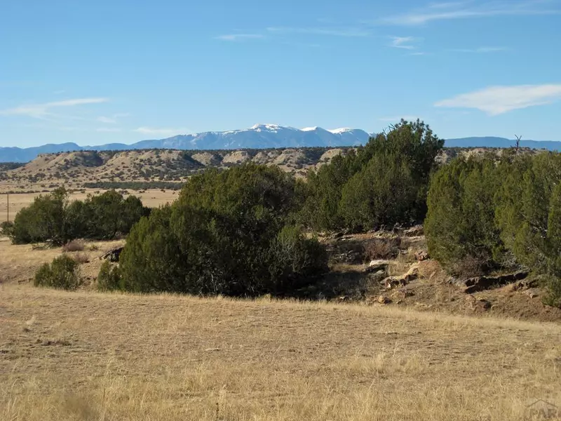 Lot 100 Narrow Gauge Way, Rye, CO 81069